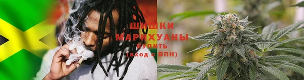 ГАЛЛЮЦИНОГЕННЫЕ ГРИБЫ Алексин