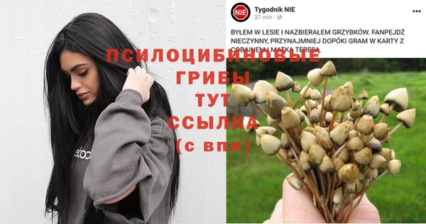 мескалин Алзамай